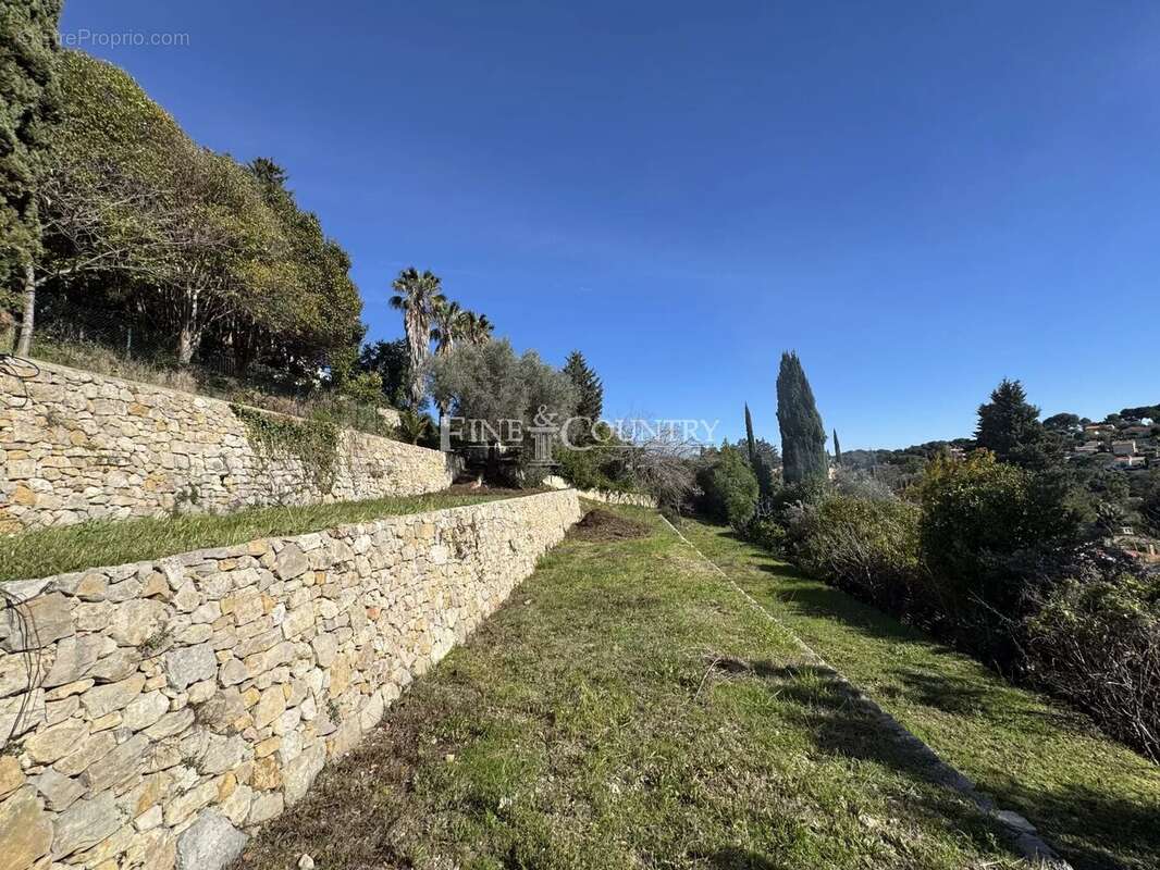 Terrain à VALLAURIS
