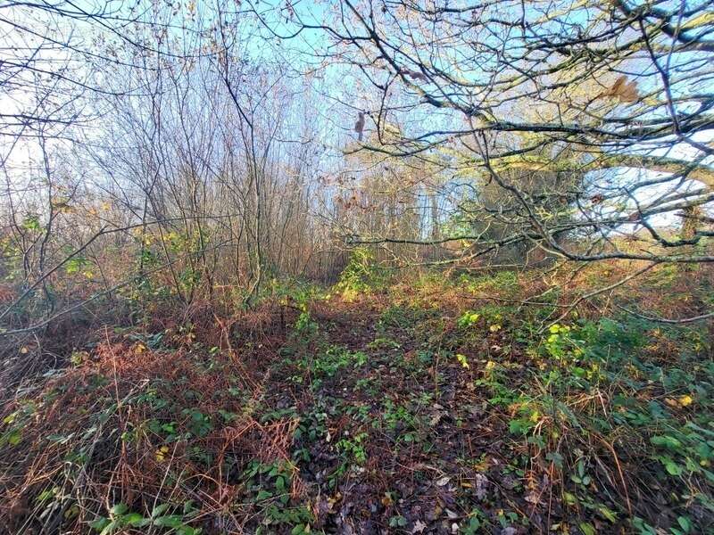 Terrain à TELGRUC-SUR-MER