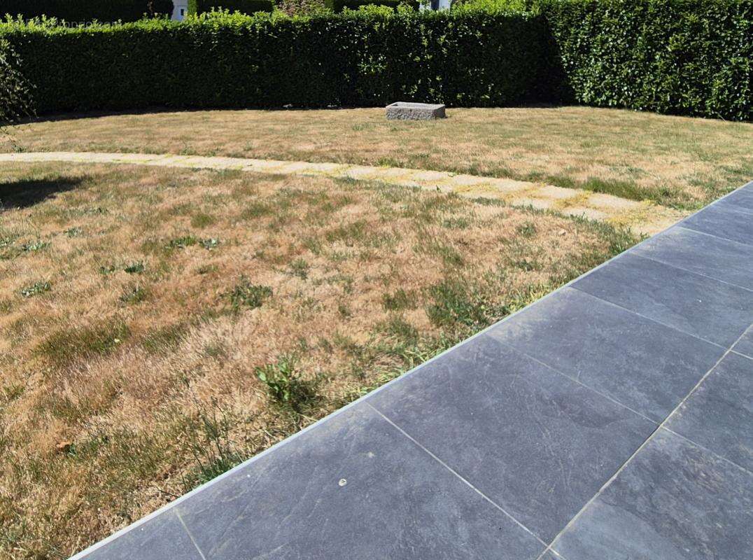 Maison traditionnelle sur sous sol complet 4 chambres jardin - photo 12