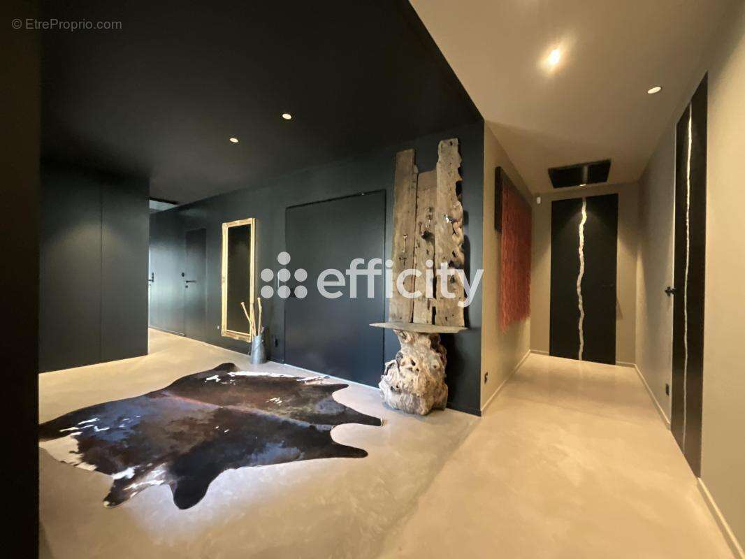 Maison 261 m² à Saint-Lager-Bressac  - photo 3
