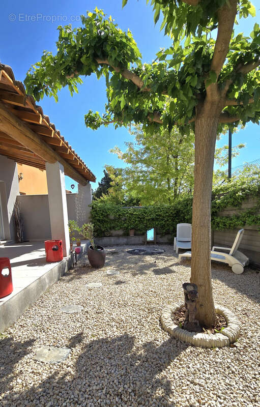 Maison à AVIGNON