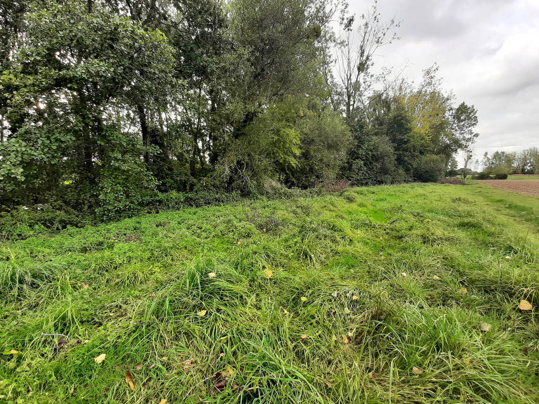 Terrain à CORPS-NUDS