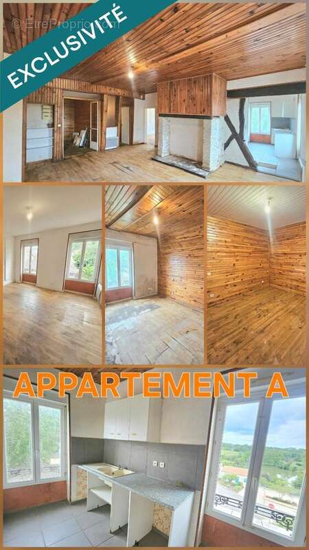 Photo 4 - Appartement à CASTELNAU-D'AUZAN