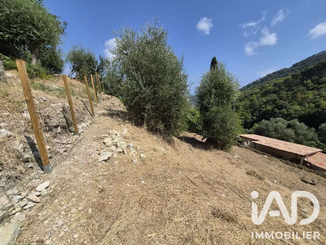 Terrain 802 m² à Gorbio  - photo 5