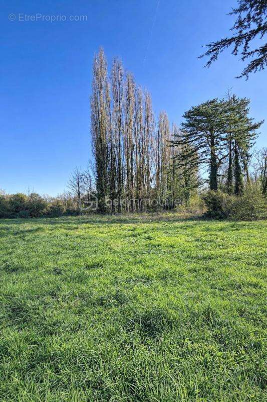 Terrain à ESSOMES-SUR-MARNE
