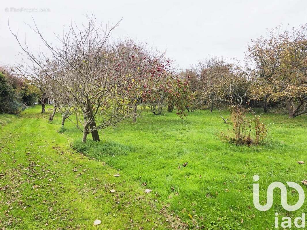 Photo 9 - Maison à SIOUVILLE-HAGUE