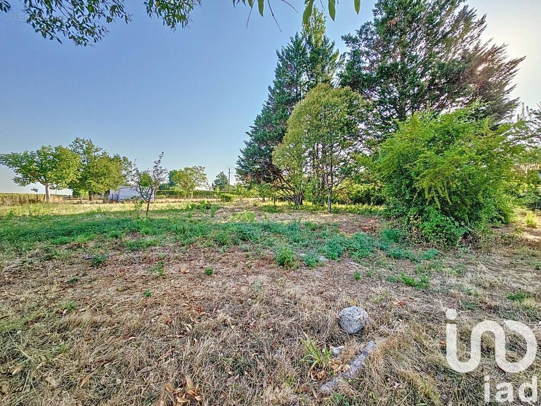 Photo 1 - Terrain à MAUVEZIN