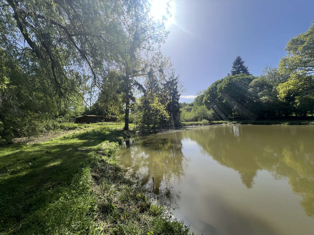 Etang avec terrain viabilise - photo 2