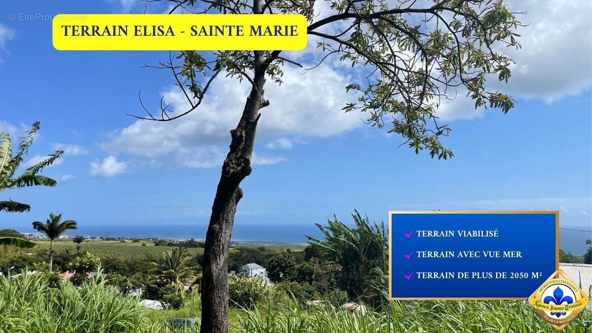 Terrain à SAINTE-MARIE