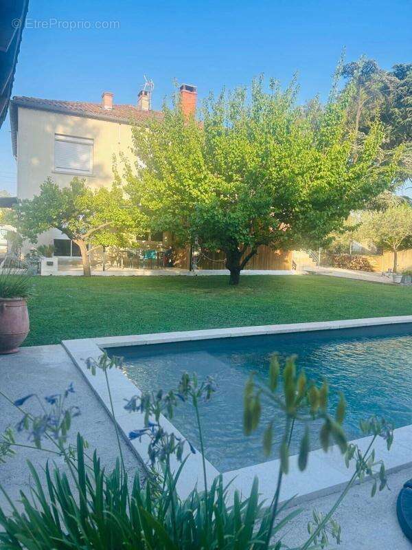 Superbe maison familiale près d Avignon +piscine+studio indépendant - photo 2