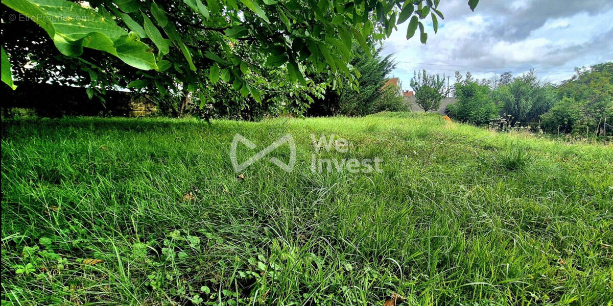 Terrain à WASSELONNE