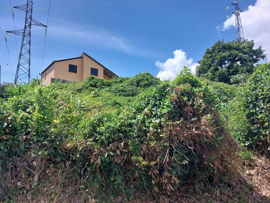 Terrain à SAINT-DENIS