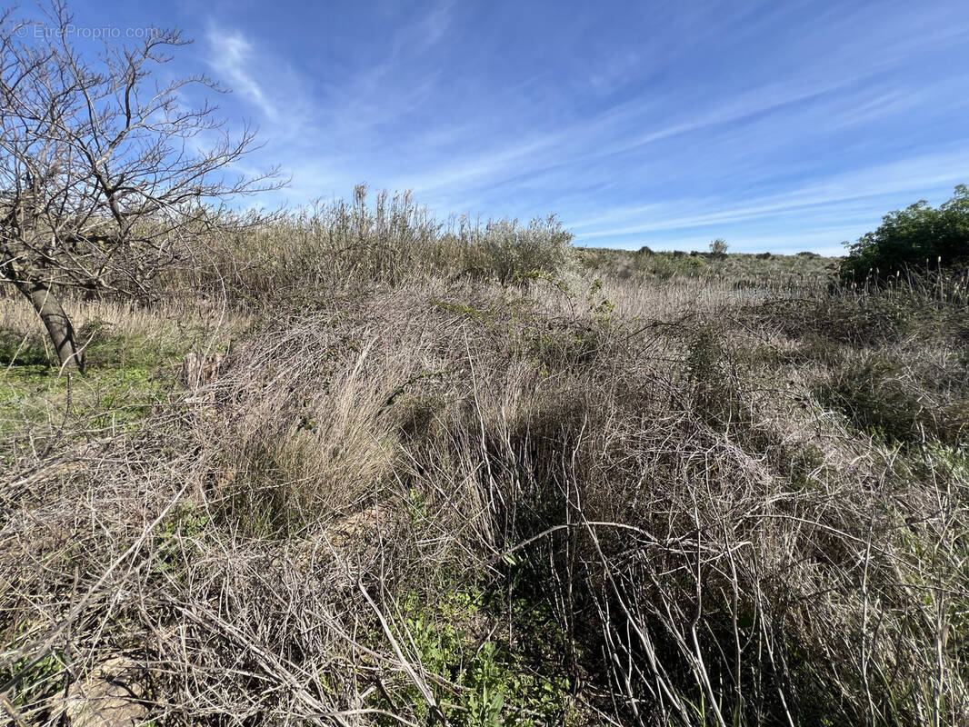 Terrain à SERIGNAN