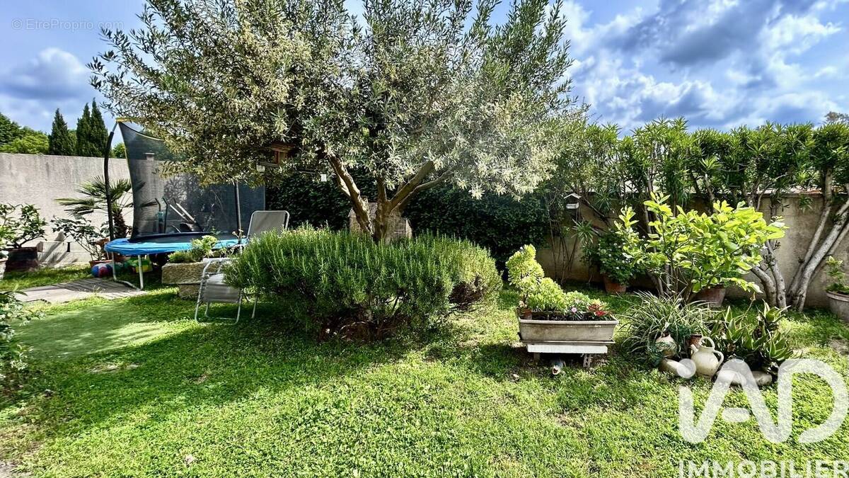 Photo 1 - Maison à SAINT-REMY-DE-PROVENCE