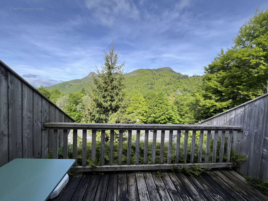 T1 bis avec terrasse - opportunite a saisir - photo 7