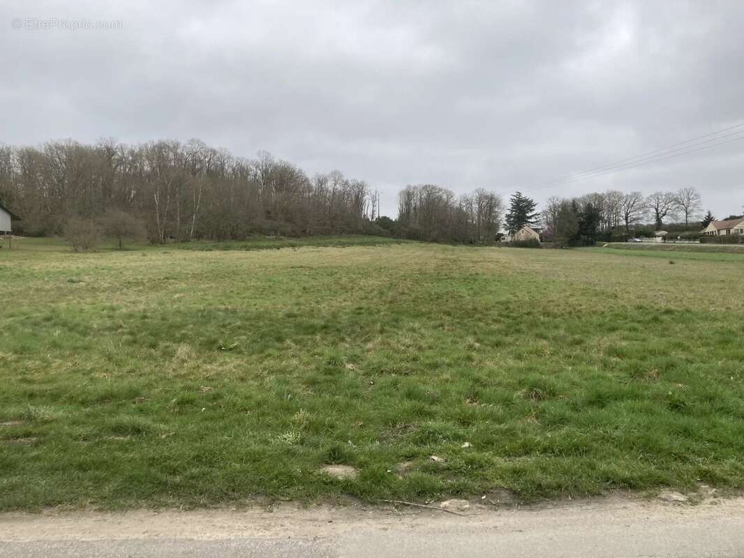 Terrain à RAIZEUX