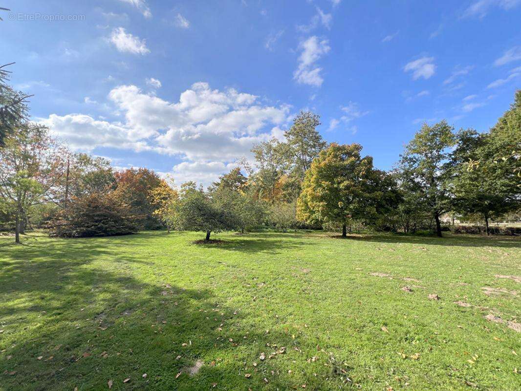 Maison à MONCE-EN-BELIN