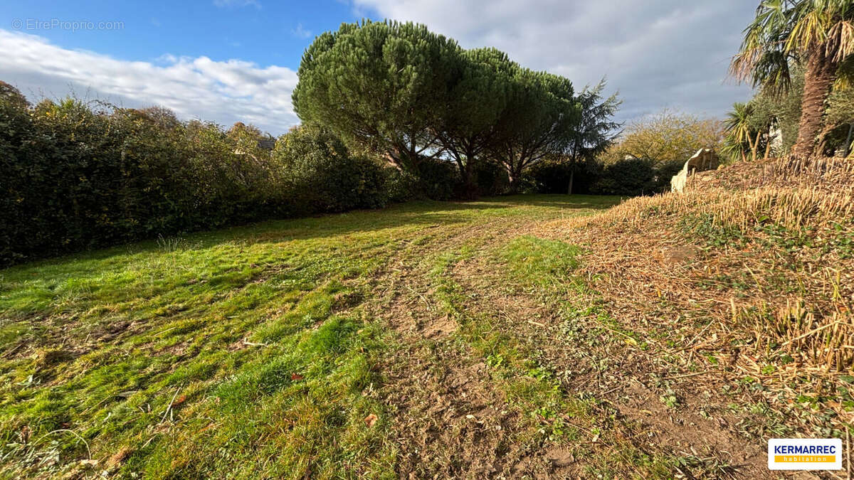 Terrain à VITRE