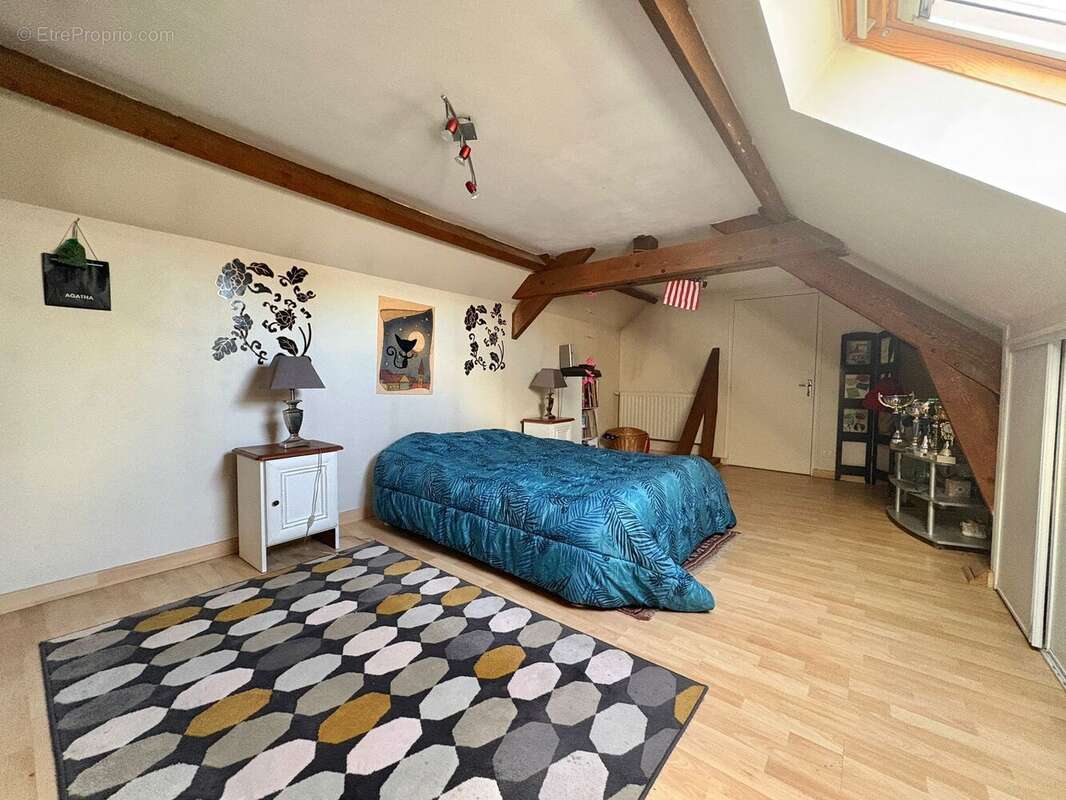Maison 183 m² à Le Poinconnet  - photo 63