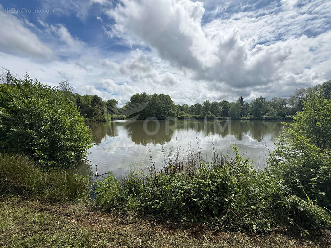 Terrain à SAINT-FARGEAU