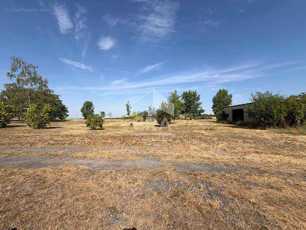 Maison de 120m² sur sous-sol complet - ALBI - photo 10