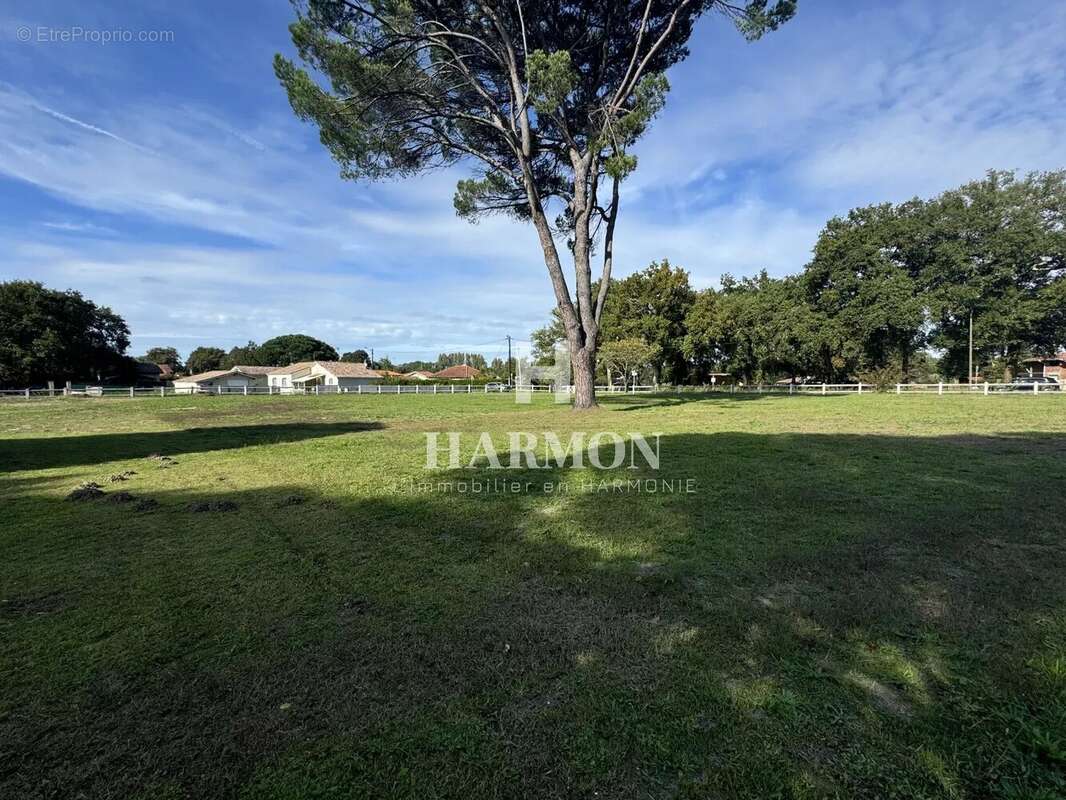 Harmon a vendre : propriété a Magescq - photo 12