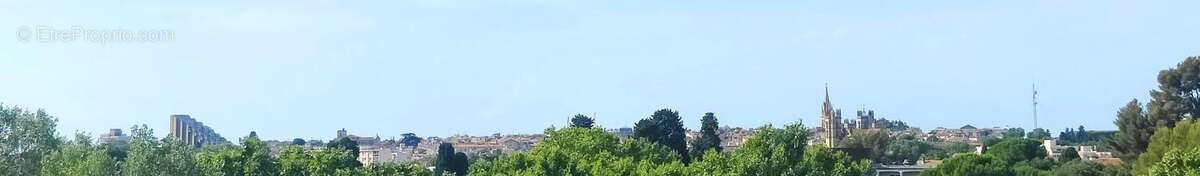 Photo 4 - Appartement à MONTPELLIER