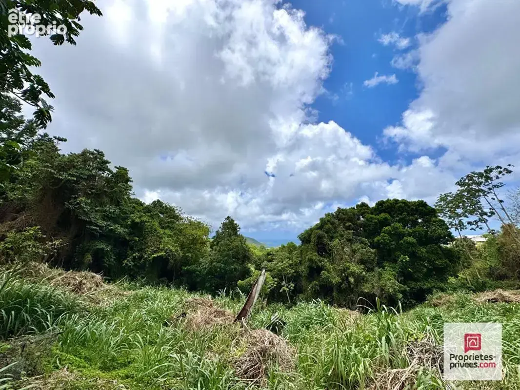 Nouveauté - ensemble foncier constructible 5 730 m² - vue mer - sainte-luce - photo 3