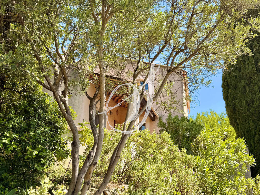 Maison à MONTPELLIER