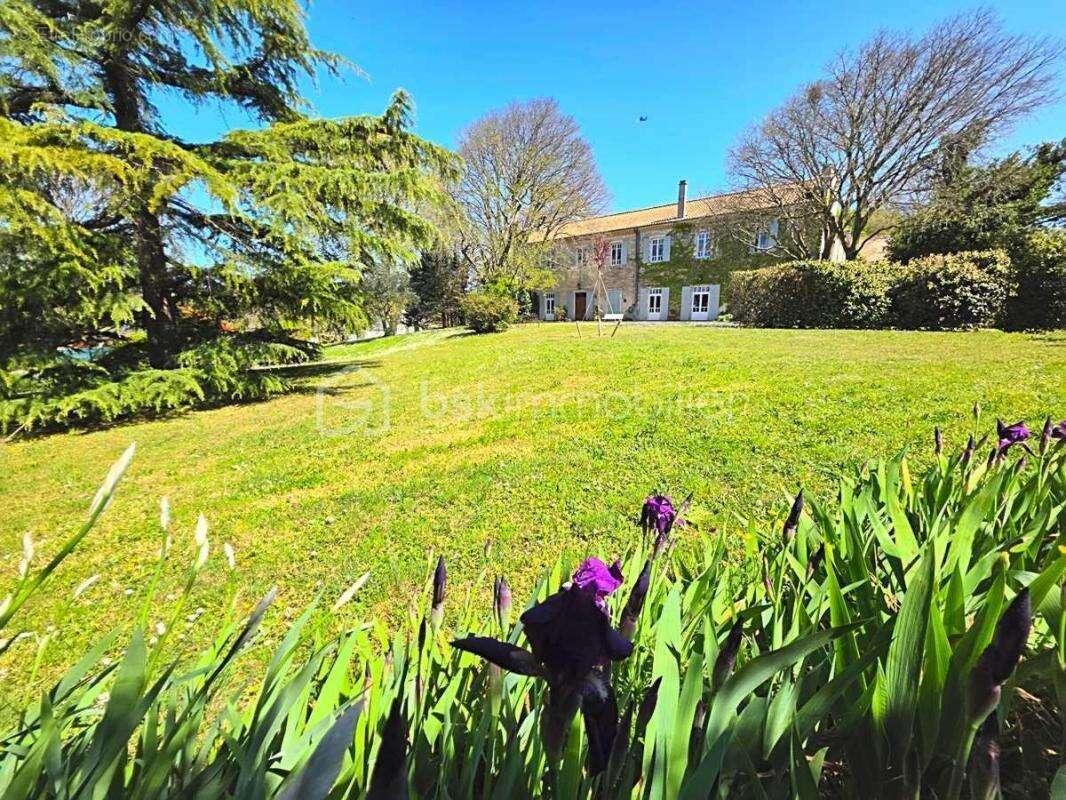 Exclusivite / montelimar / 387 m² / 7 chambres / piscine - photo 3