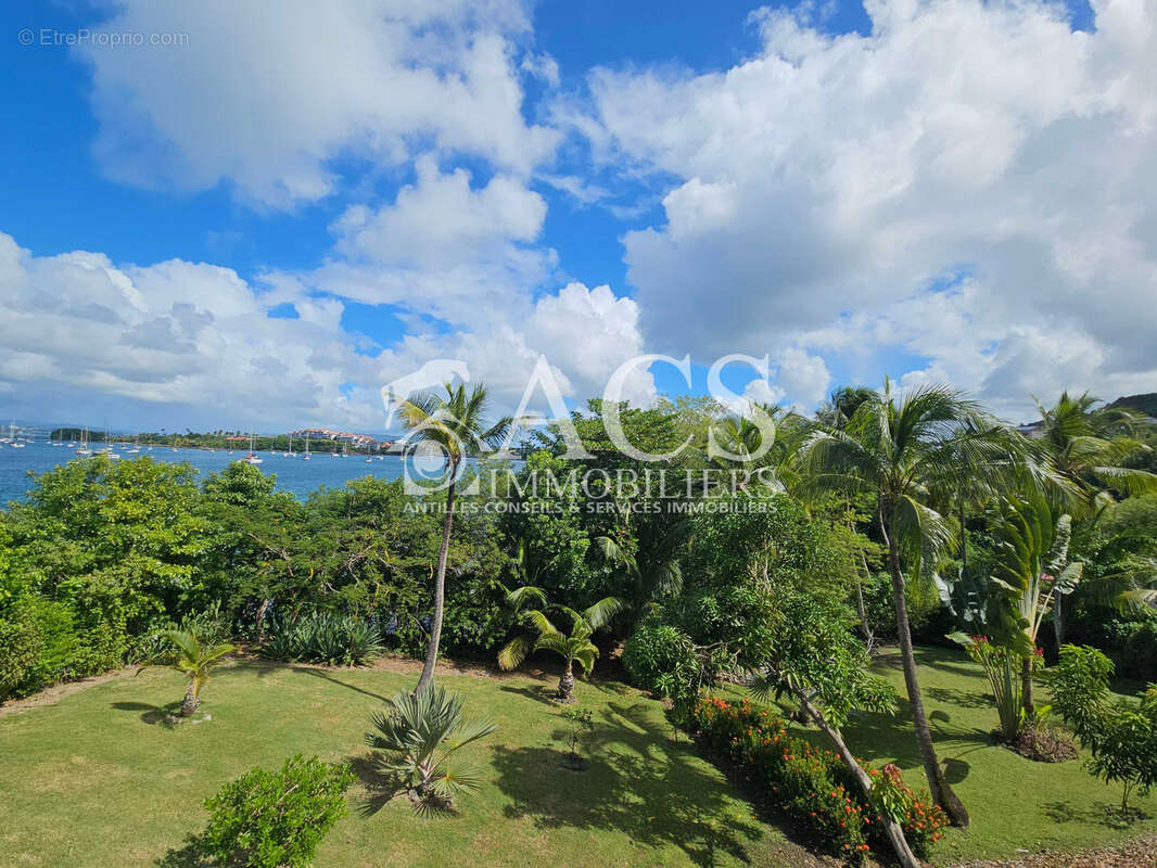 Magnifique propriété avec piscine en bord de mer - LES TROIS-ILETS - photo 20