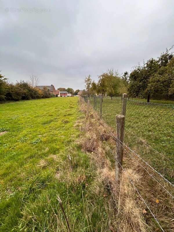 Terrain à GREMEVILLERS
