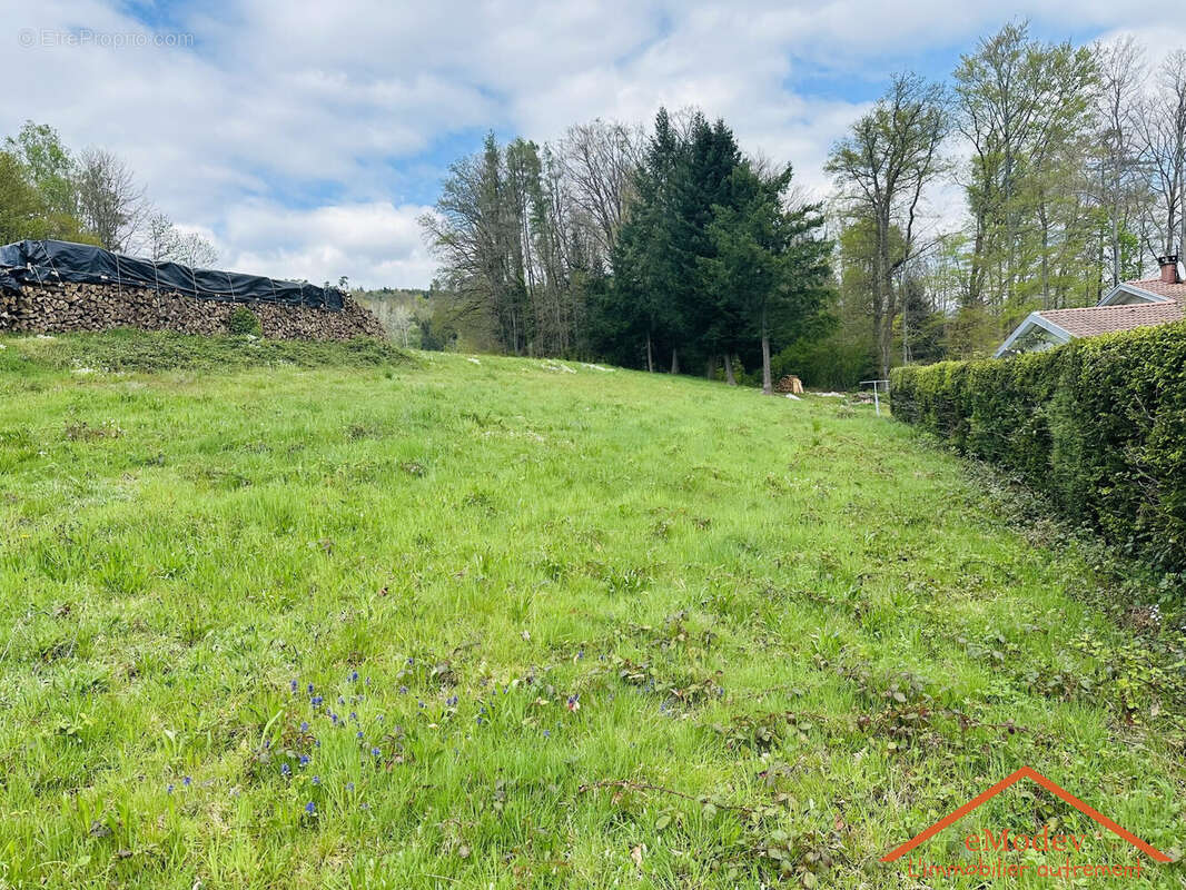 Terrain à CHENIMENIL