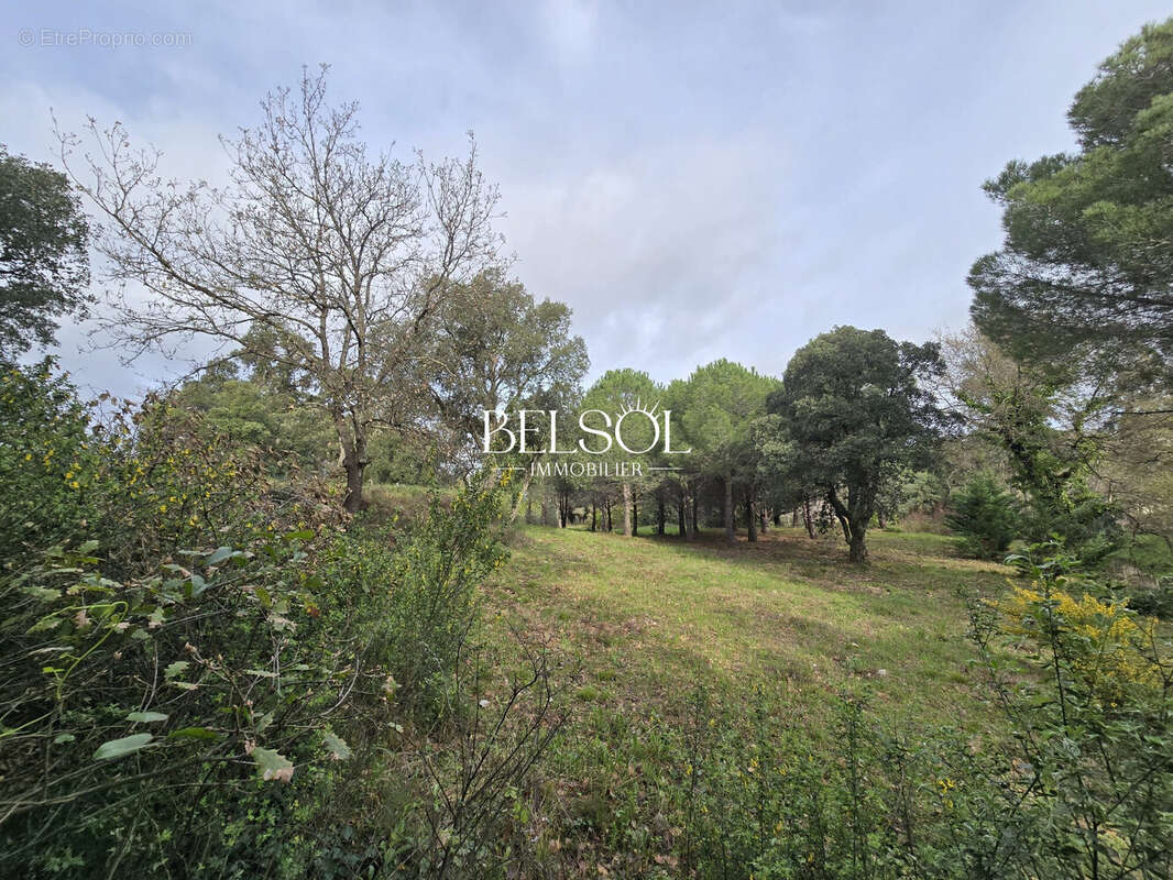 Terrain 4107 m² à Argeles-Sur-Mer  - photo 4