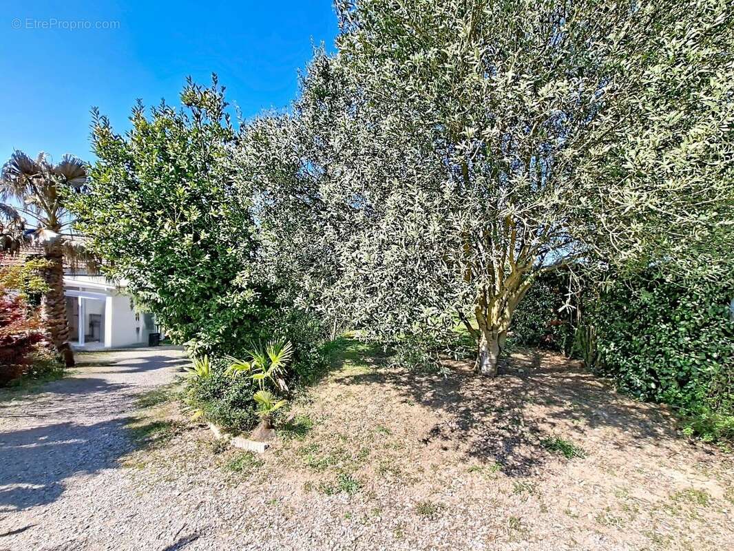 Maison à MONTASTRUC-LA-CONSEILLERE