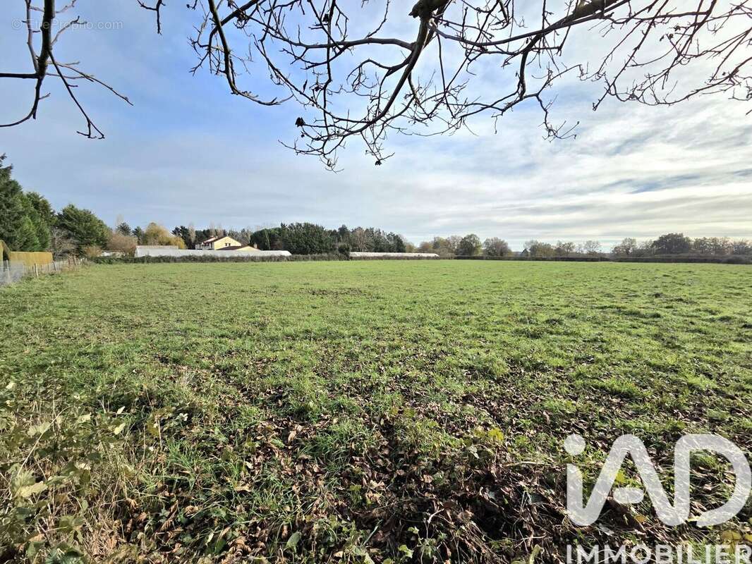 Photo 4 - Terrain à MONTMORILLON