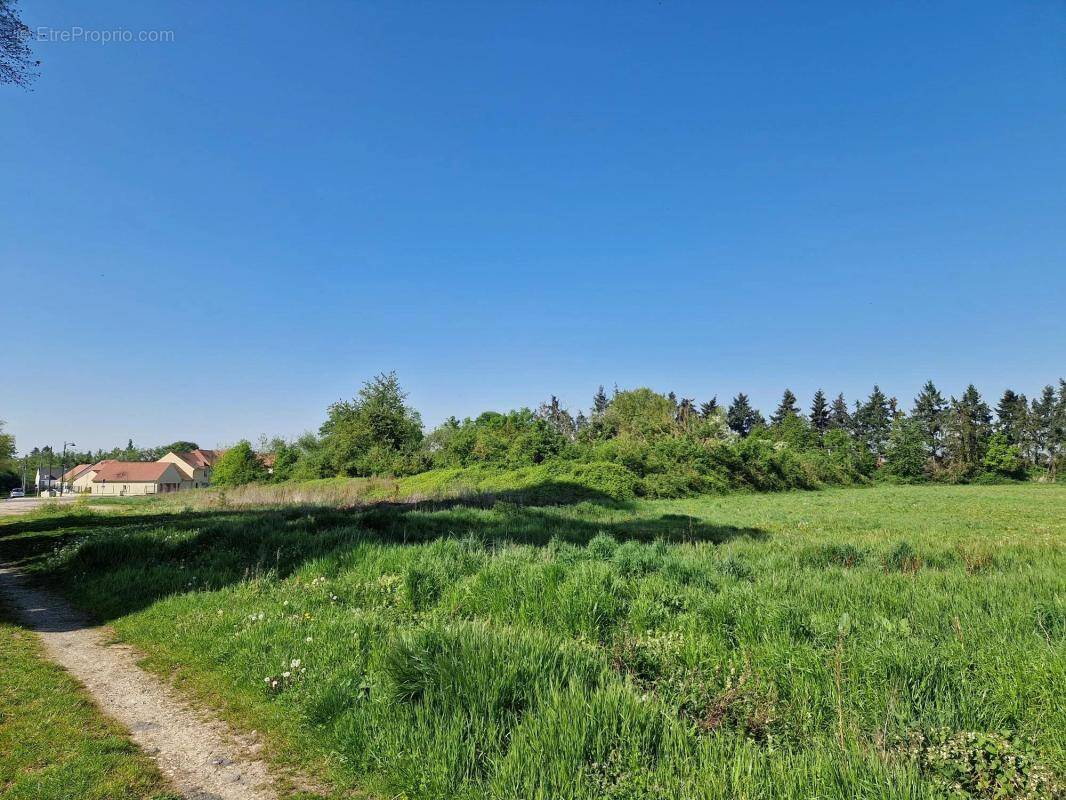 Terrain à BAZICOURT