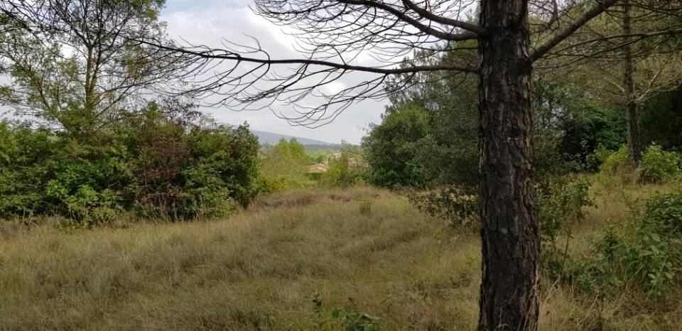 Terrain à CARCASSONNE