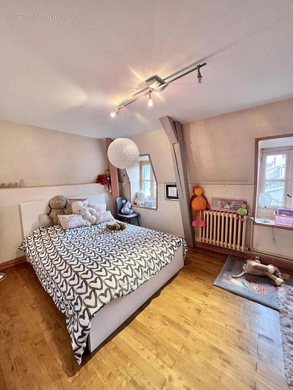 Maison Bourgeoise avec jardin et espace professionnel - photo 18
