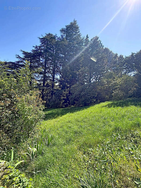 Maison à VILLENEUVE-LES-AVIGNON