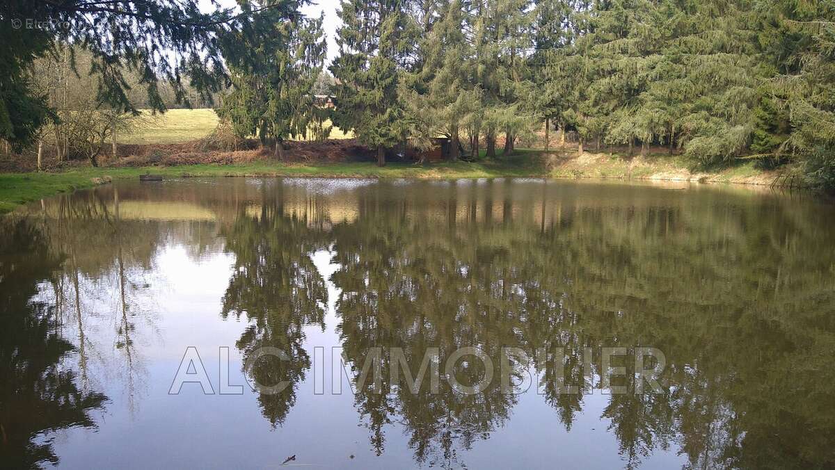 Terrain à LOUPFOUGERES