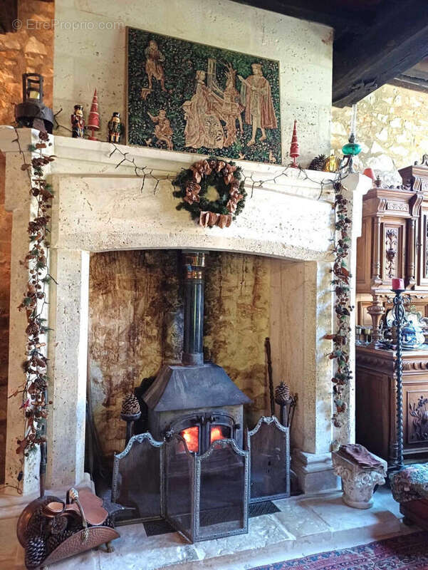 CHEMINEE - Maison à CHASSENEUIL-SUR-BONNIEURE