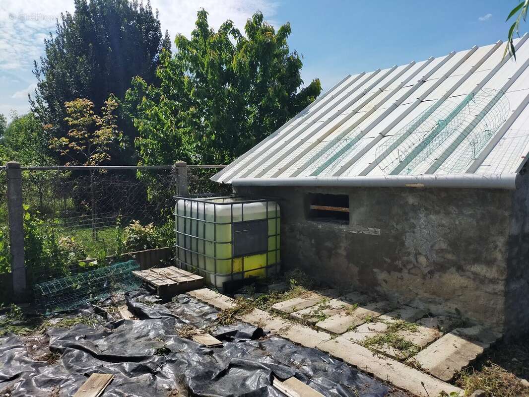 jardin permaculture Andouillé - Terrain à ANDOUILLE
