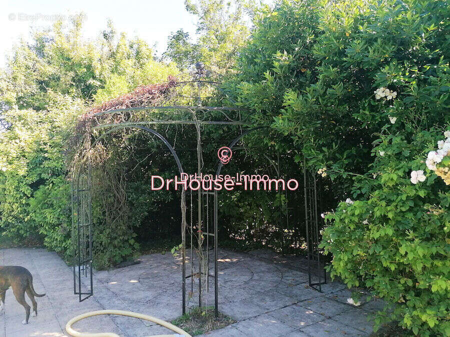 Maison à CHAILLE-LES-MARAIS