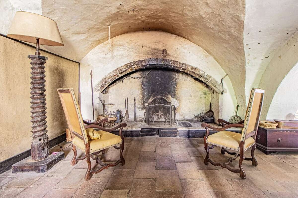 Superbe Château médiéval chargé d'histoire entouré de plus de 200 hectares - photo 9