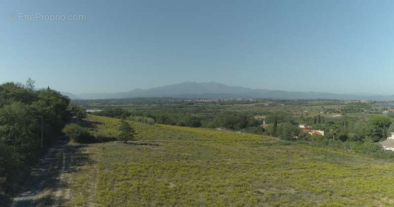 Terrain à BANYULS-DELS-ASPRES