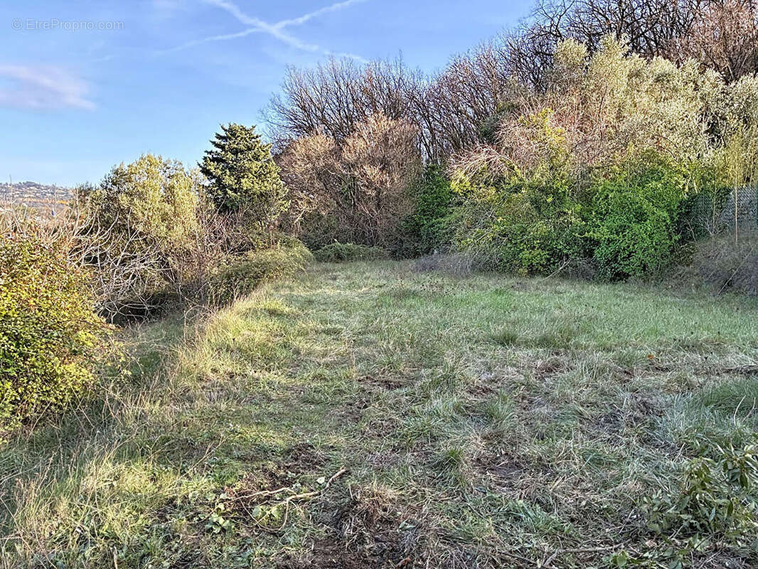 Terrain à CHATEAUNEUF-GRASSE