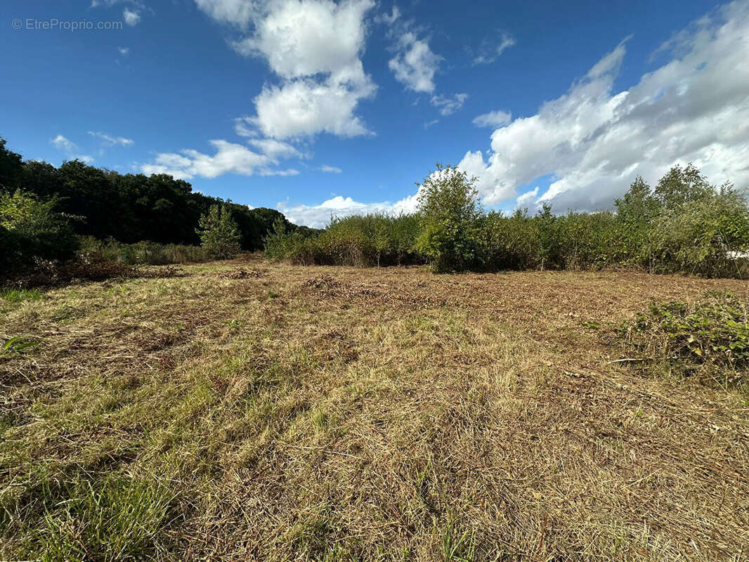 Terrain à MENNESSIS