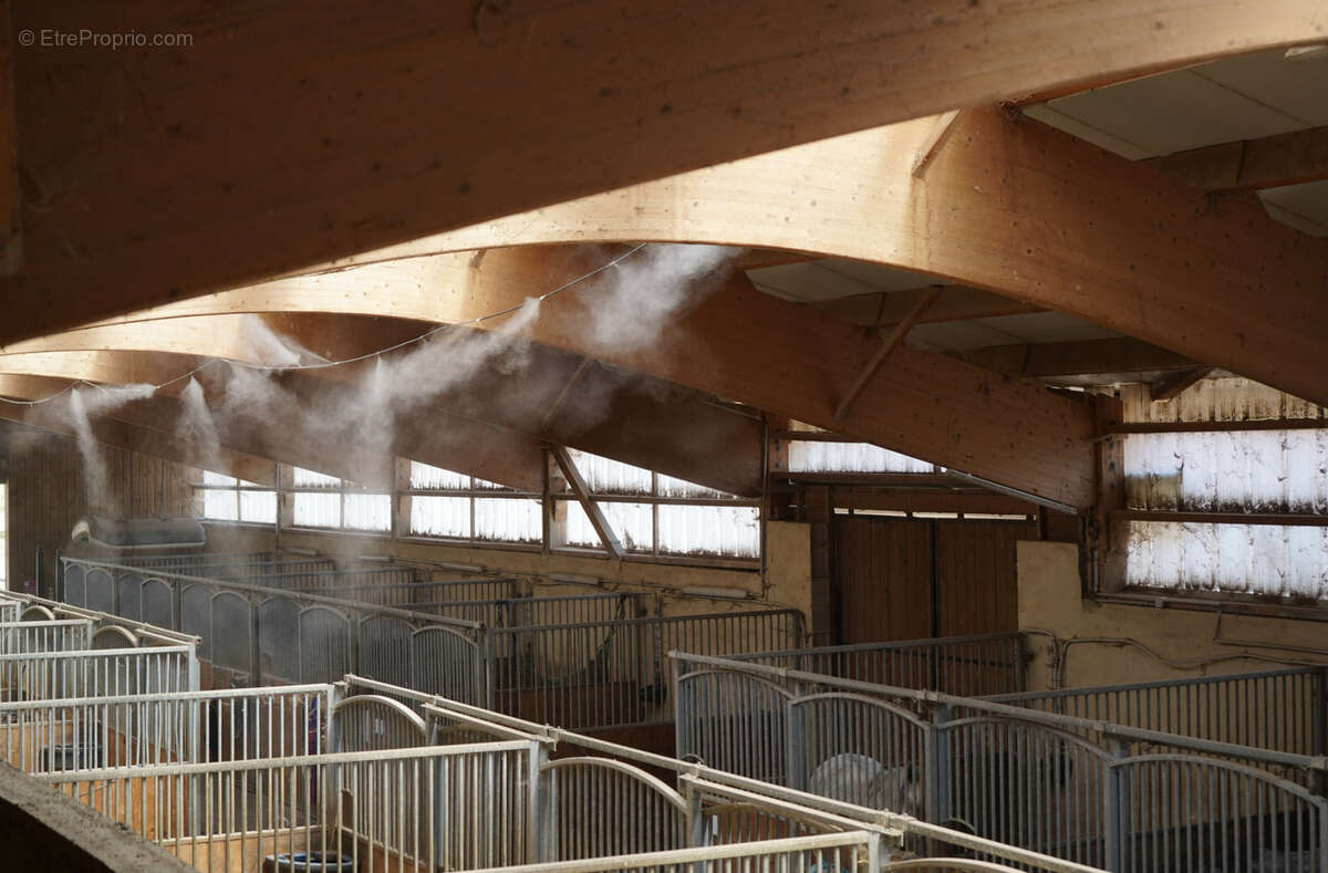 Haras du mas de meyrie - photo 10