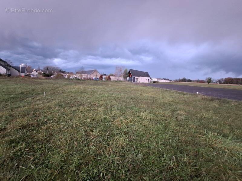 Terrain à SAVIGNE-SUR-LATHAN